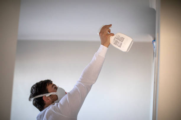 Best Emergency Mold Removal  in Prairie View, TX