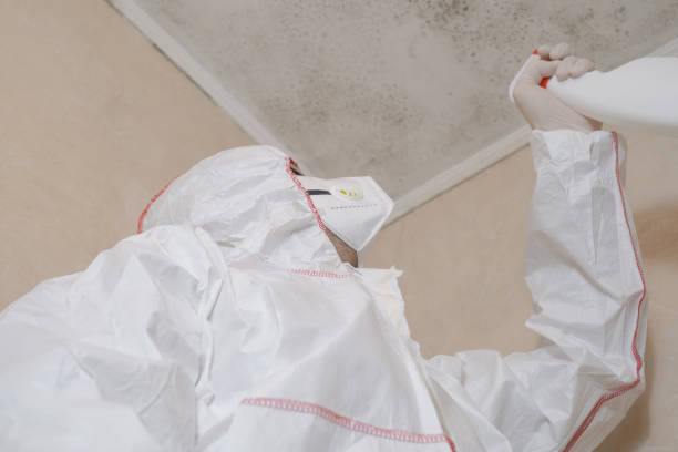 Best Commercial Mold Removal  in Prairie View, TX