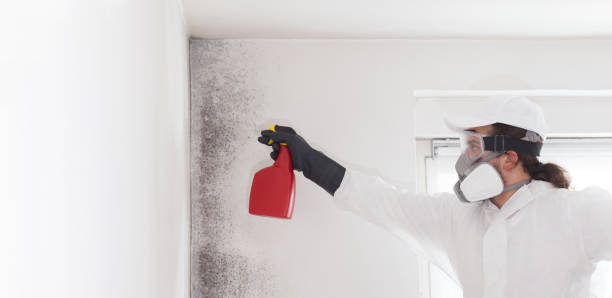 Best Crawl Space Mold Removal  in Prairie View, TX